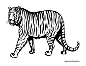 Tiger Coloring Page 3