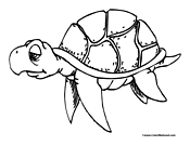 Turtle Coloring Page 10