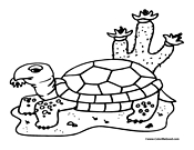 Turtle Coloring Page 11