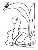 Turtle Coloring Page 13
