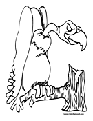 Vulture Coloring Page 1