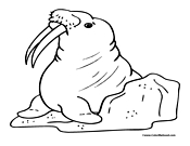 Walrus Coloring Page 3