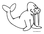 Walrus Coloring Page 5