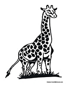 African Giraffe 2