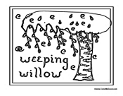 Weeping Willow Tree Poster