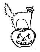 Frightened Cat on Pumpkin