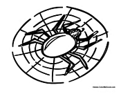 Spider Spinning Web