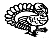 Basic Thanksgiving Turkey