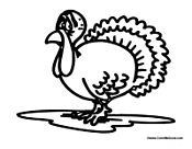Sad Turkey for Thanksgiving