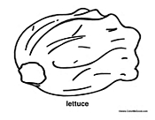 Lettuce Coloring Sheet