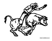 Cowboy Riding the Bull