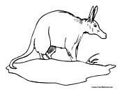 Aardvark Coloring Page 1