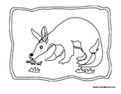 Anteater Eating Ants 4