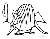 Armadillo Coloring Page 4