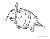 Baby Armadillo
