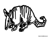 Armadillo 2