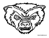 Badger Face