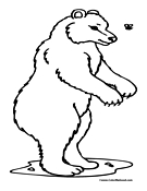 Bear Coloring Page 5
