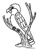 Bird Coloring Page 10