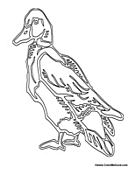 Adult Duck Artsy