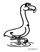 Flamingo in the Water