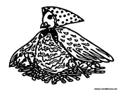Hen Sitting on Nest