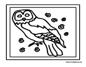 Owl Picture