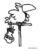 Parrot with Bird Seed