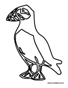 Adult Puffin 2