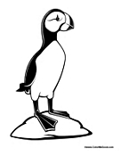 Puffin Standing on Rock