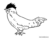 Basic Rooster