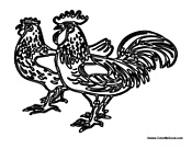 Two Adult Roosters