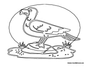 Adult Seagull Standing Artsy