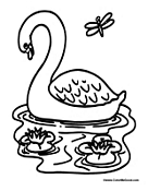 Swan in Pond