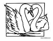 Two Swans in Love