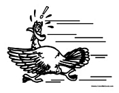 Turkey Running Away