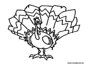 Turkey with Feathers