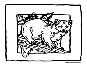 Bobcat Coloring Page 2