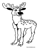 Adult Buck with Horns