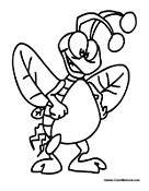 Fly