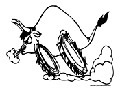Bull Coloring Page 5