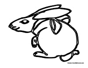 Bunny Turning Around