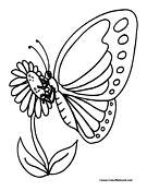 Butterfly Coloring Page 5
