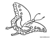 Butterfly Coloring Page 56