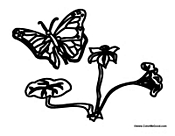 Butterfly on a Plant