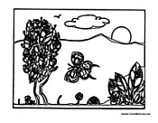 Butterfly in Habitat