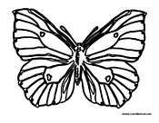 Butterfly Coloring Page 27
