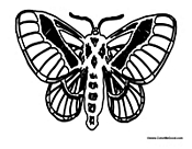 Butterfly Coloring Page 19