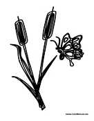 Butterfly on Cattails