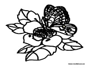 Butterfly Resting on Plant 2